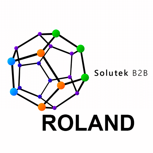 Montaje de impresoras gran formato Roland
