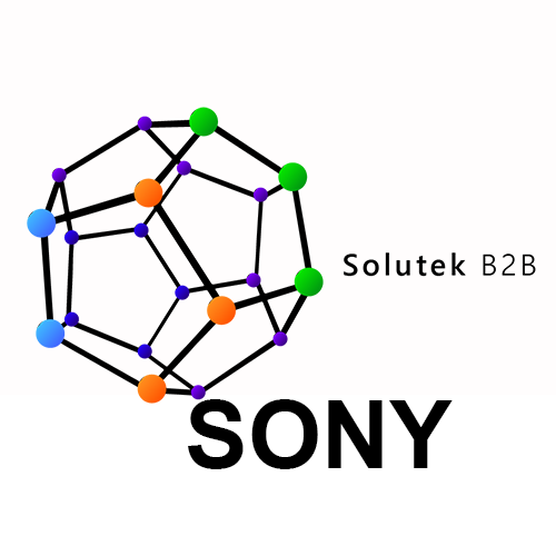 Montaje de proyectores Sony